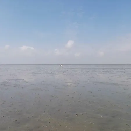 Nyaraló Ellie-ferienhaus Strandraeuber - Vs1 Dorumer Neufeld