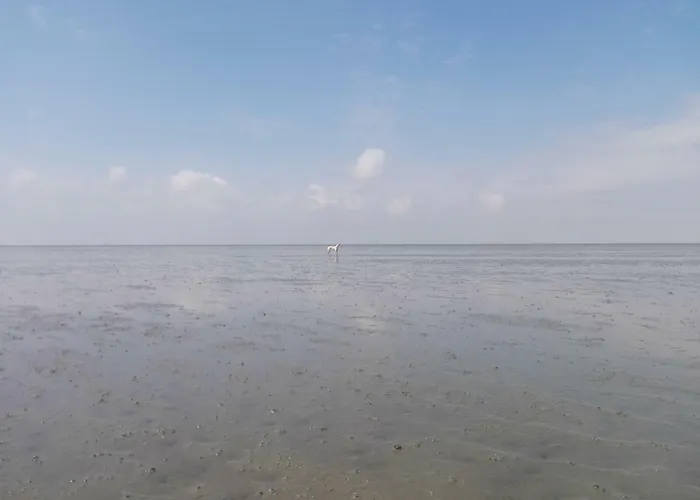 Nyaraló Ellie-ferienhaus Strandraeuber - Vs1 Dorumer Neufeld